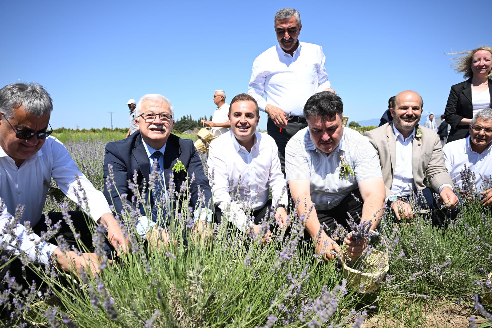 FESTİVAL İÇİN GERİ SAYIM BAŞLADI