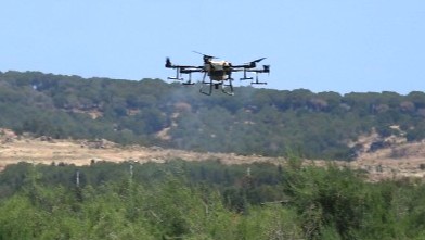 BALIKESİR’DE SİVRİSİNEK SAVAŞI