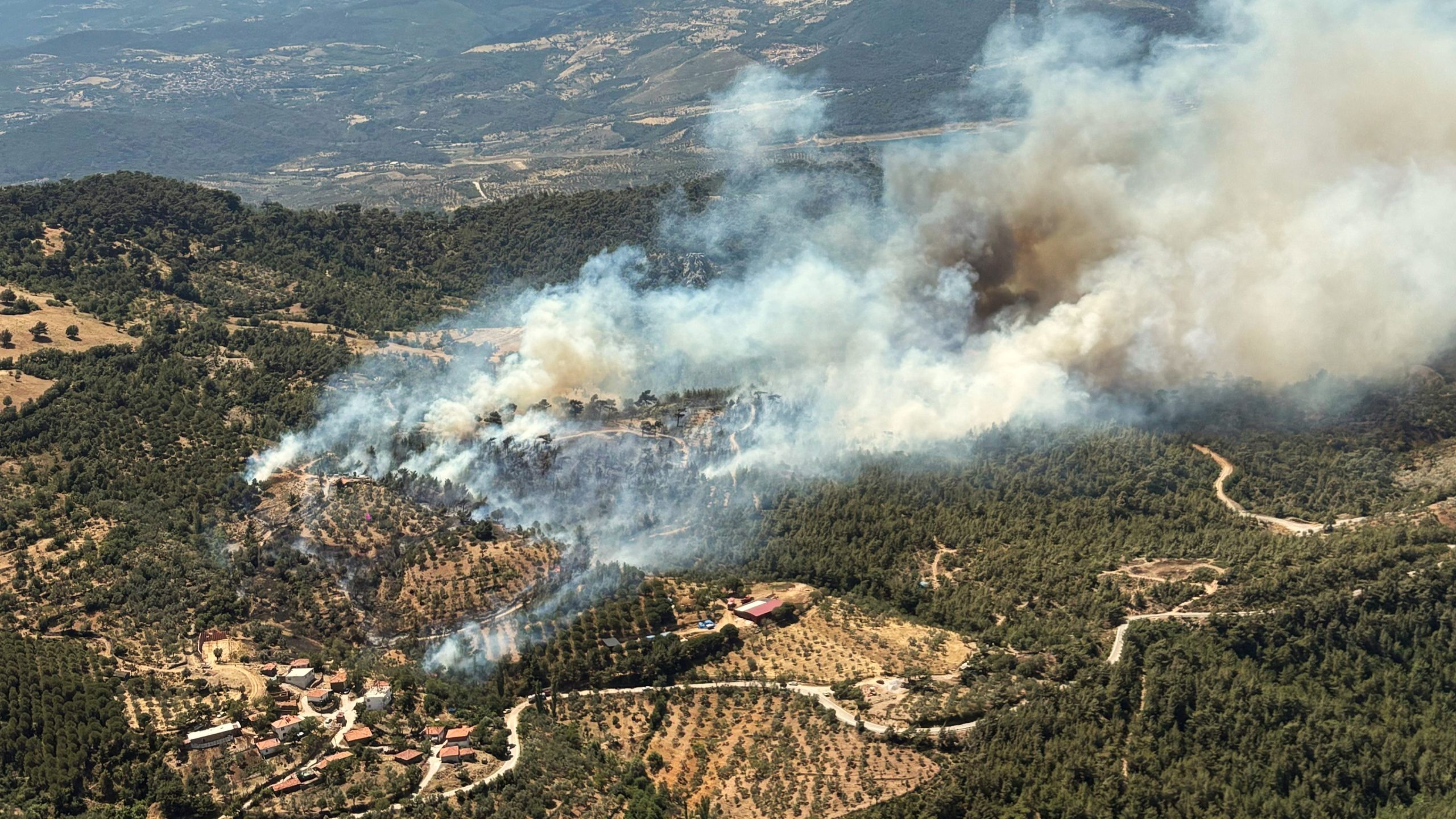 HAVRAN’DA ORMAN YANGINI