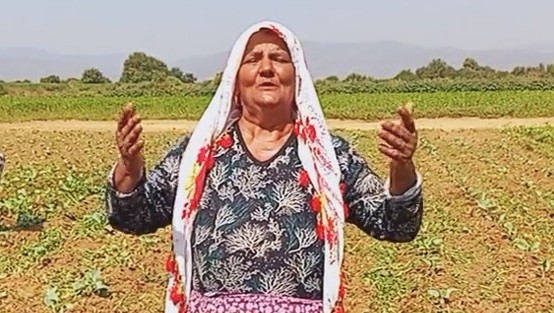 TARLADA ‘ŞARKI’ MOLASI