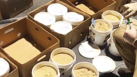 1 TON 728 KİLO ZEHİR ÇIKTI!