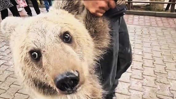 YAVRU AYIYA İSİM ARIYORLAR