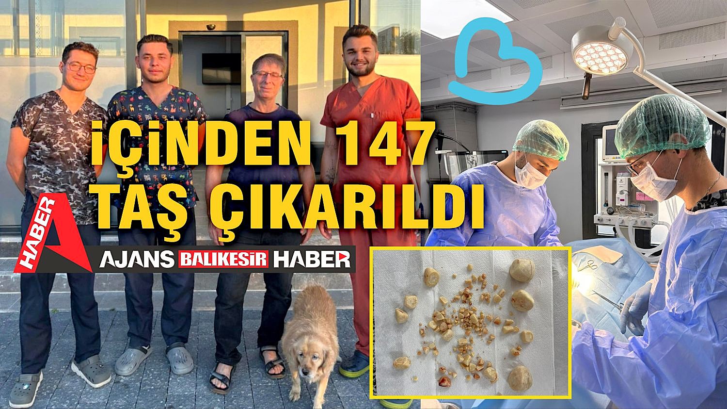 İÇİNDEN 147 TANE TAŞ ÇIKARTILDI