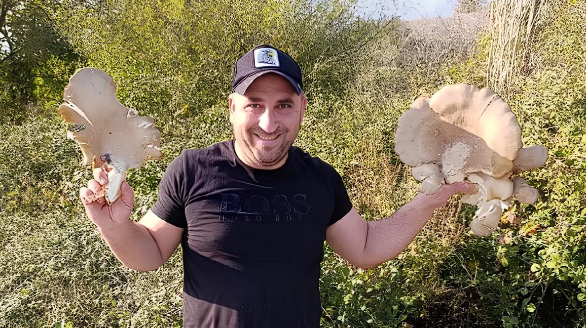 “MANTAR YOK, GELMEYİN” AKIMI