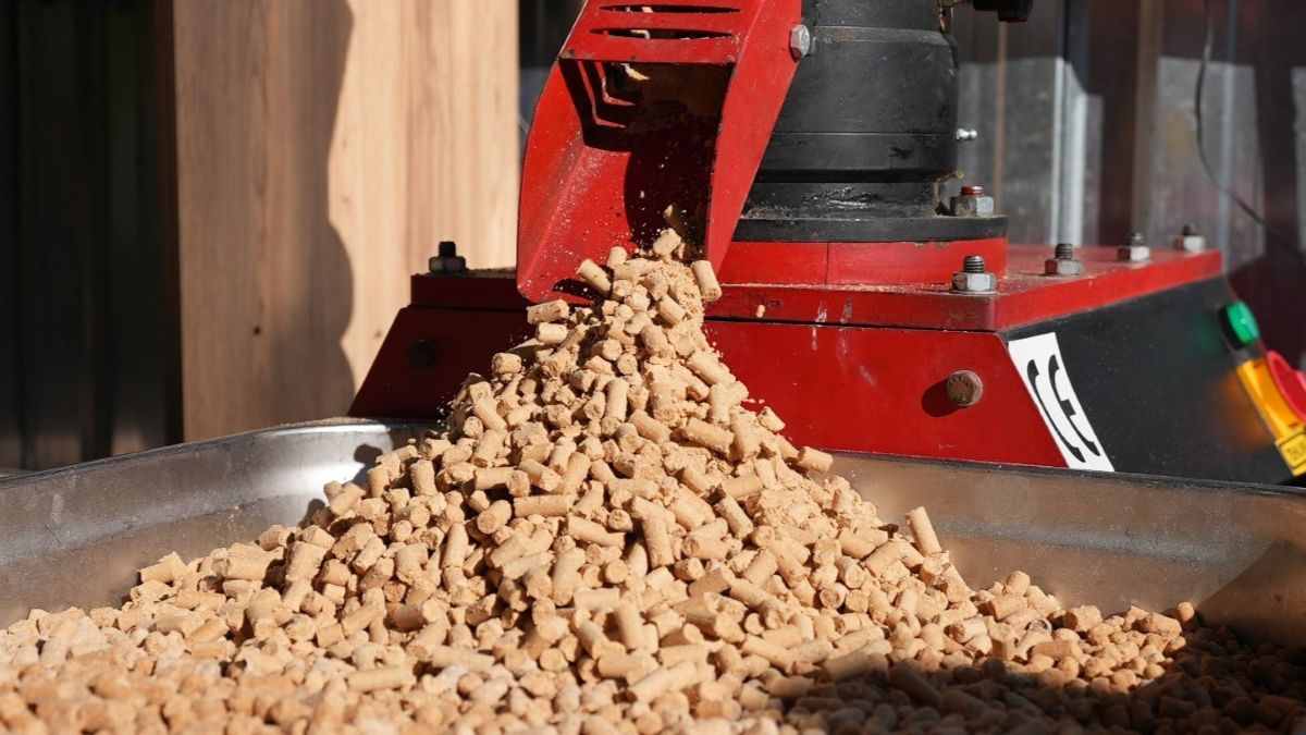 CAN DOSTLAR İÇİN ÖRNEK PROJE