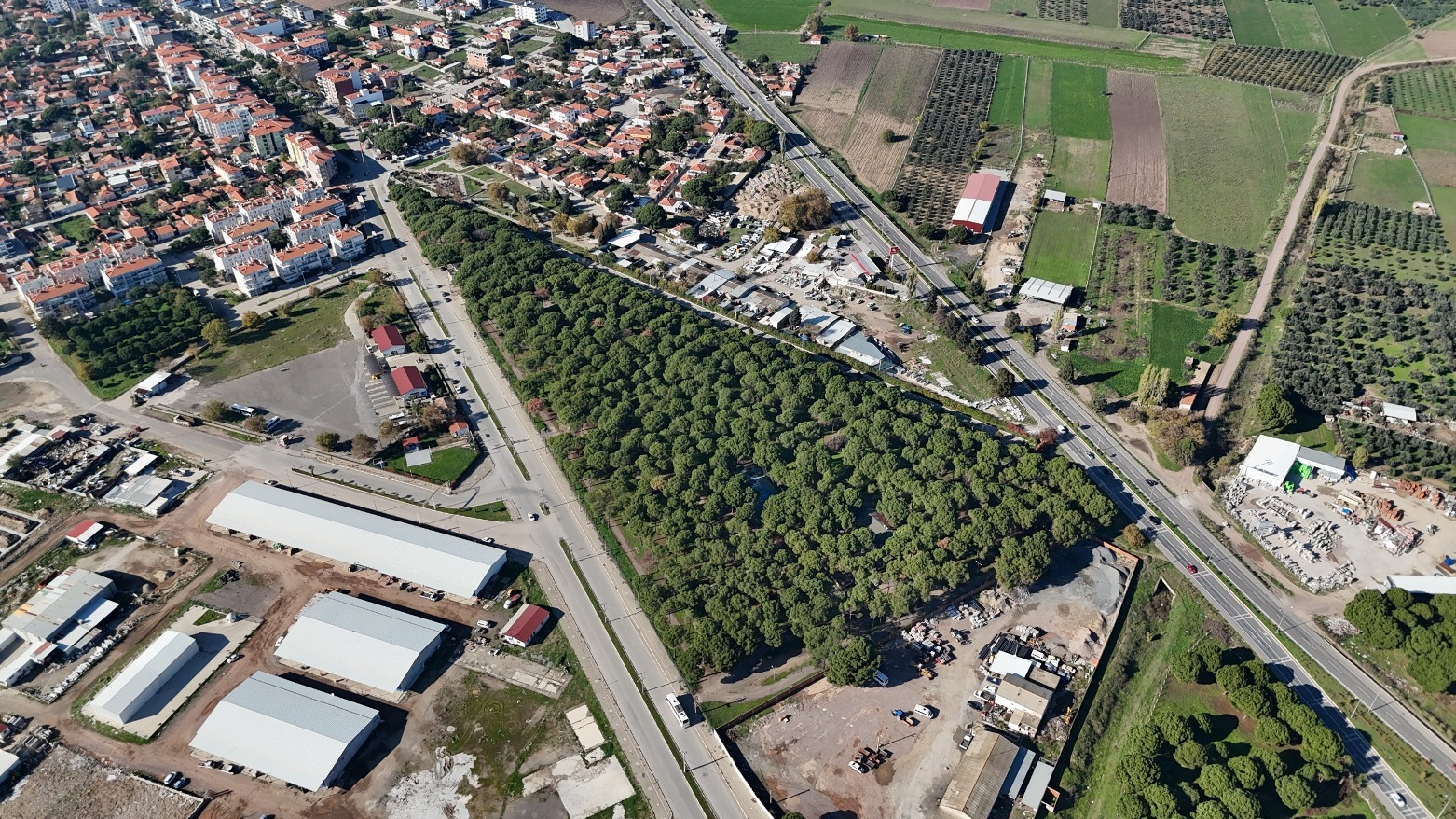 AYVALIK’TA MESİRE ALANI YENİLENDİ