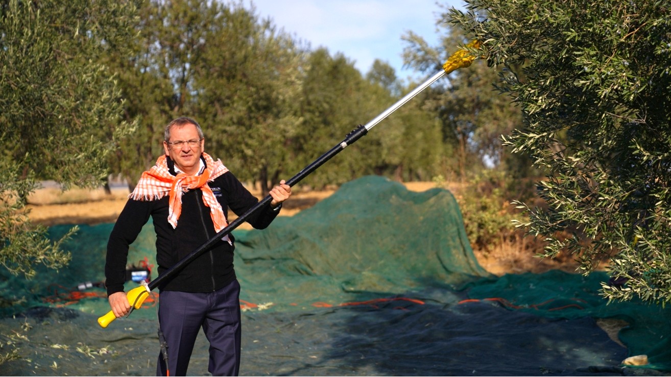“DÜNYA ZEYTİN AĞACI GÜNÜ KUTLU OLSUN”