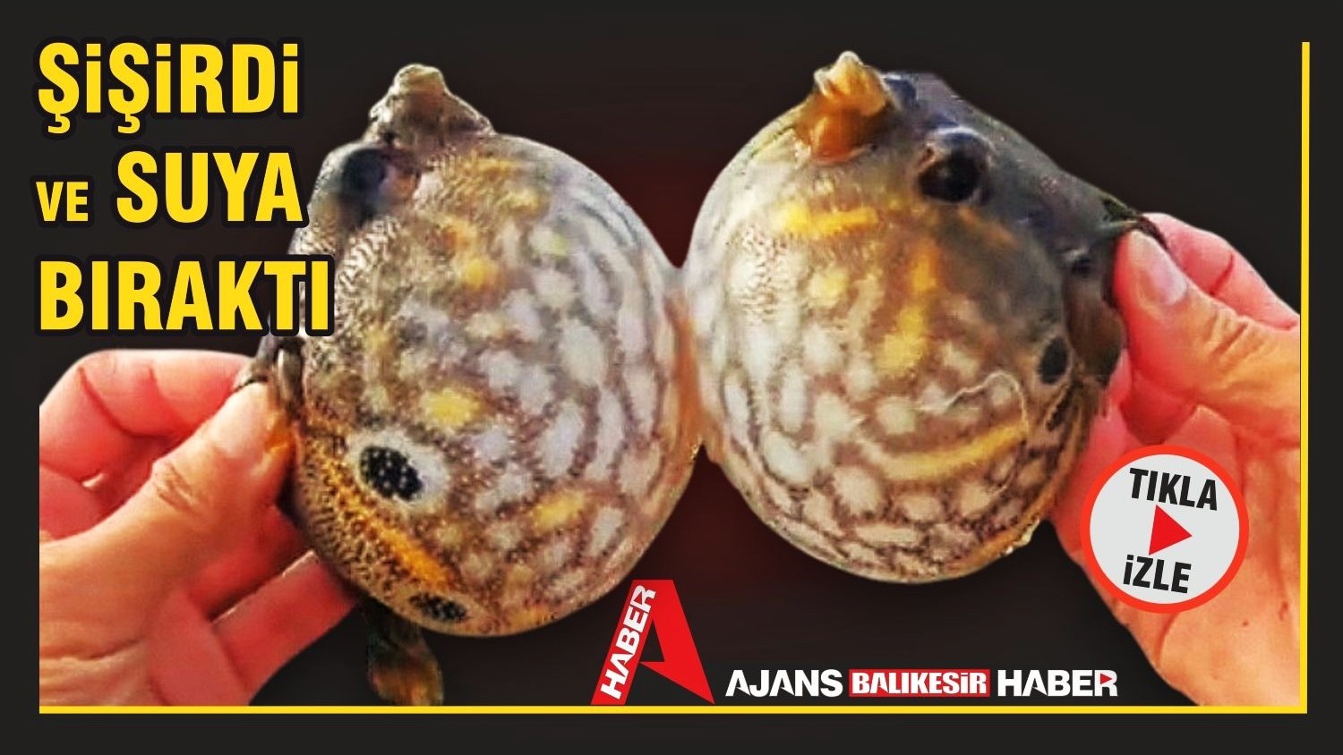 ŞİŞİNCE SUYA BIRAKIYOR