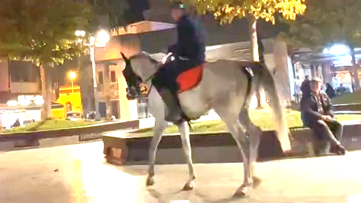 BALIKESİR’DE SIRADAN BİR GÜN