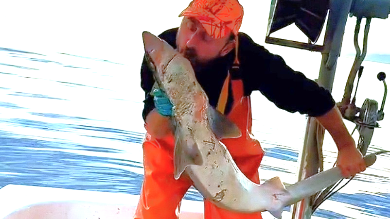 HEM KORKTU, HEM DE FIRÇALADI!