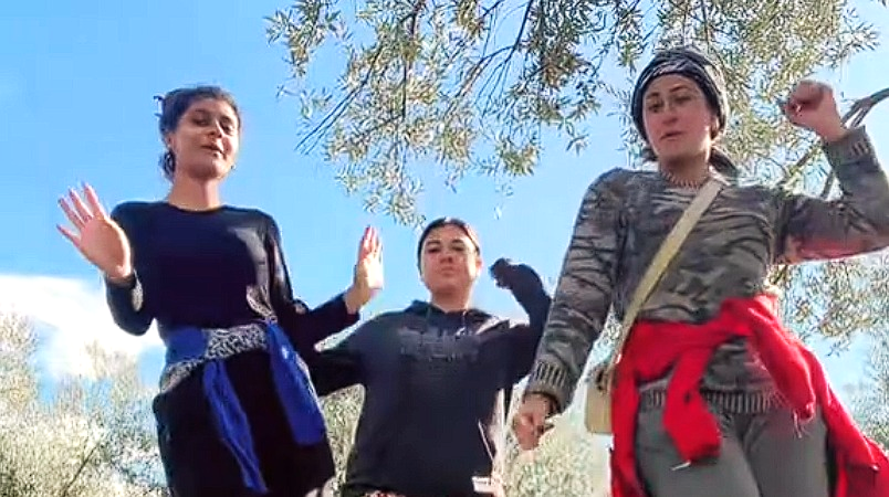 EN NEŞELİ ZEYTİN HASADI