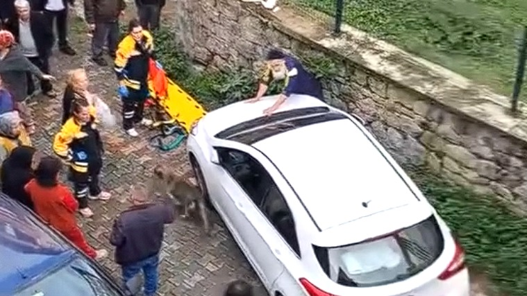 ADAMI DUVARA SIKIŞTIRIP KAÇTI