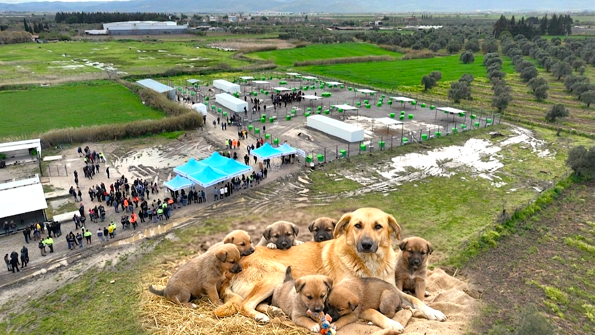 CAN DOSTLARA YENİ YAŞAM ALANI