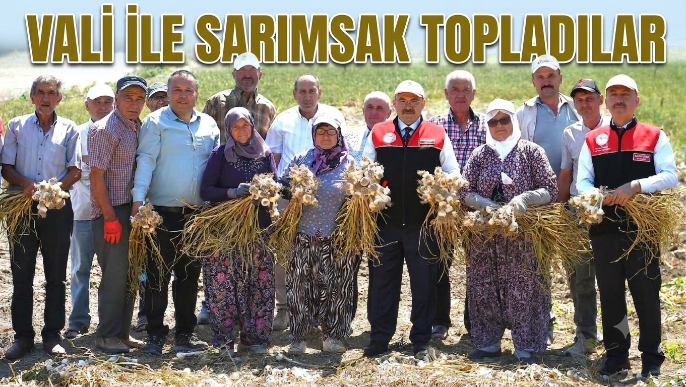 VALİ İLE SARIMSAK HASADI YAPTILAR