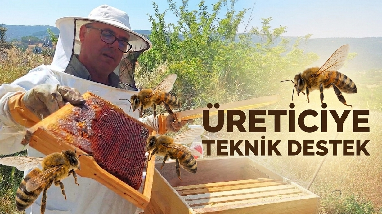 ARICILARA PROFESYONEL DESTEK