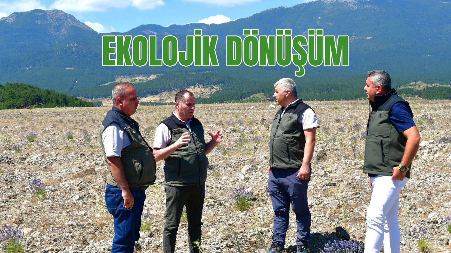 MADEN SAHASI ORMANA DÖNÜŞTÜ